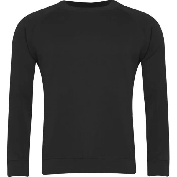 Banner Classic Crew Neck Sweatshirt - Junior Thumbnail